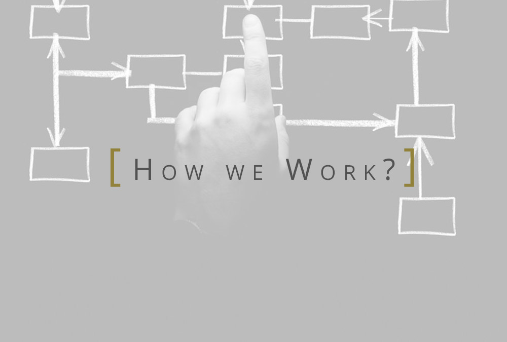 How We Work?
